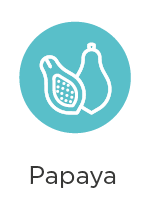 papaya