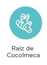 cocolmeca